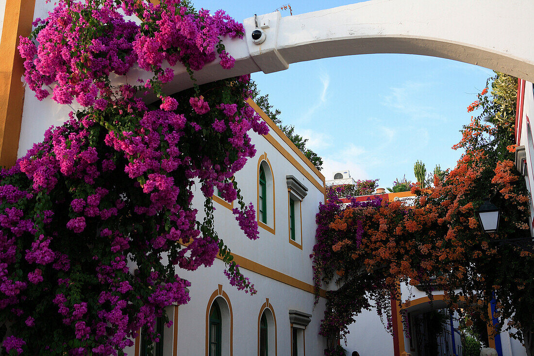 House and flowers, Puerto de Mogan, Gran Canaria, Canary Islands
