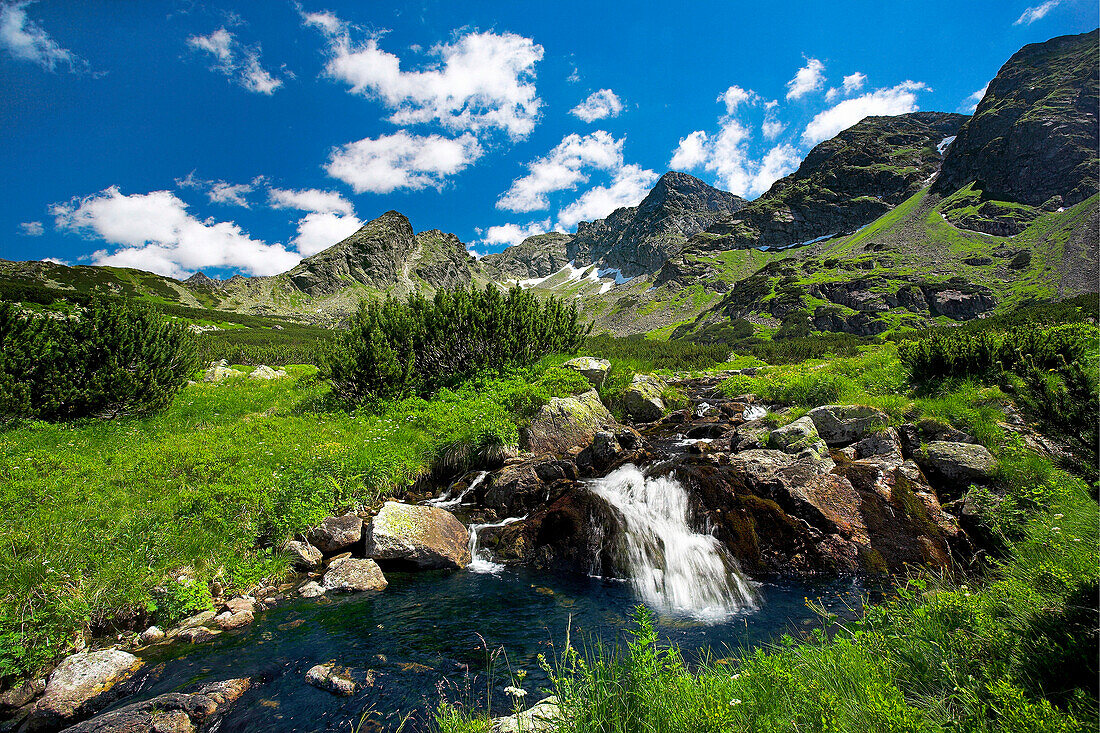 Scenery with mountain stream in Gasienicowa Valley, Tatra Mountains, Poland