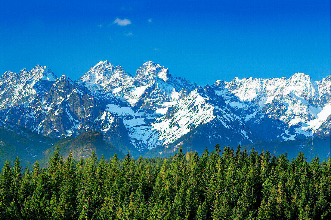 Snowy mountainscape, Tatra Mountains, Poland