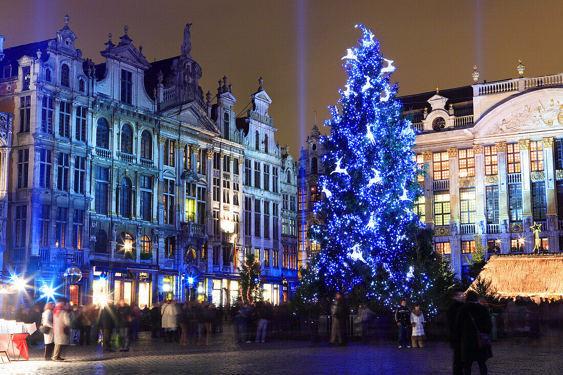 Grand-Place and Christmas tree, Brussels, Flanders, Belgium