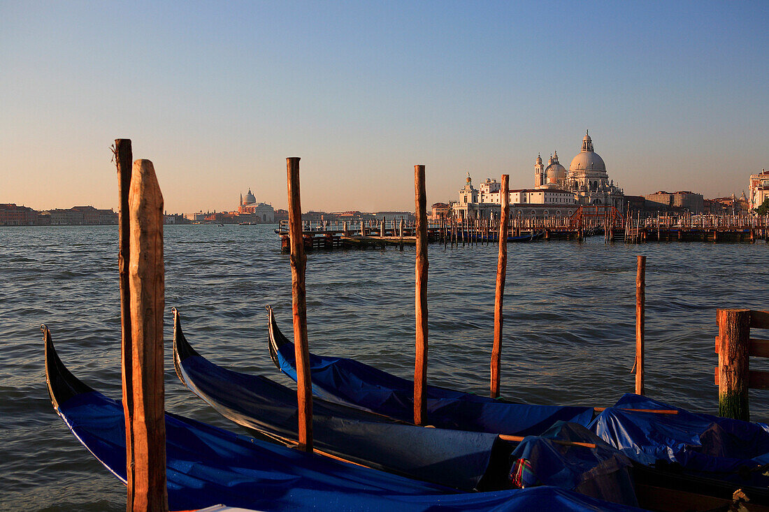 Gondolas and the church of Santa Maria della Salute, Venice, Veneto, Italy