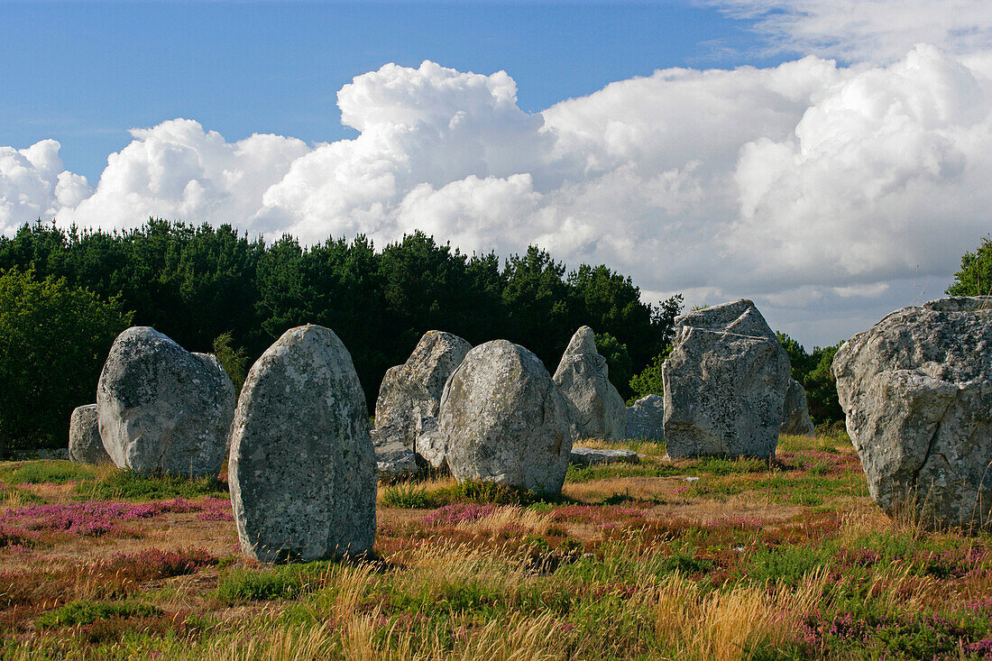Alignements de Kerlescan, neolithic standing stones, Carnac, Brittany, France