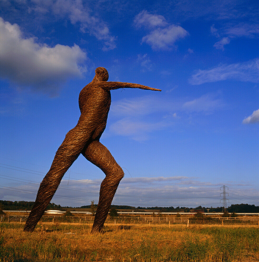 Willow Man sculpture, Bridgewater, Somerset, UK, England