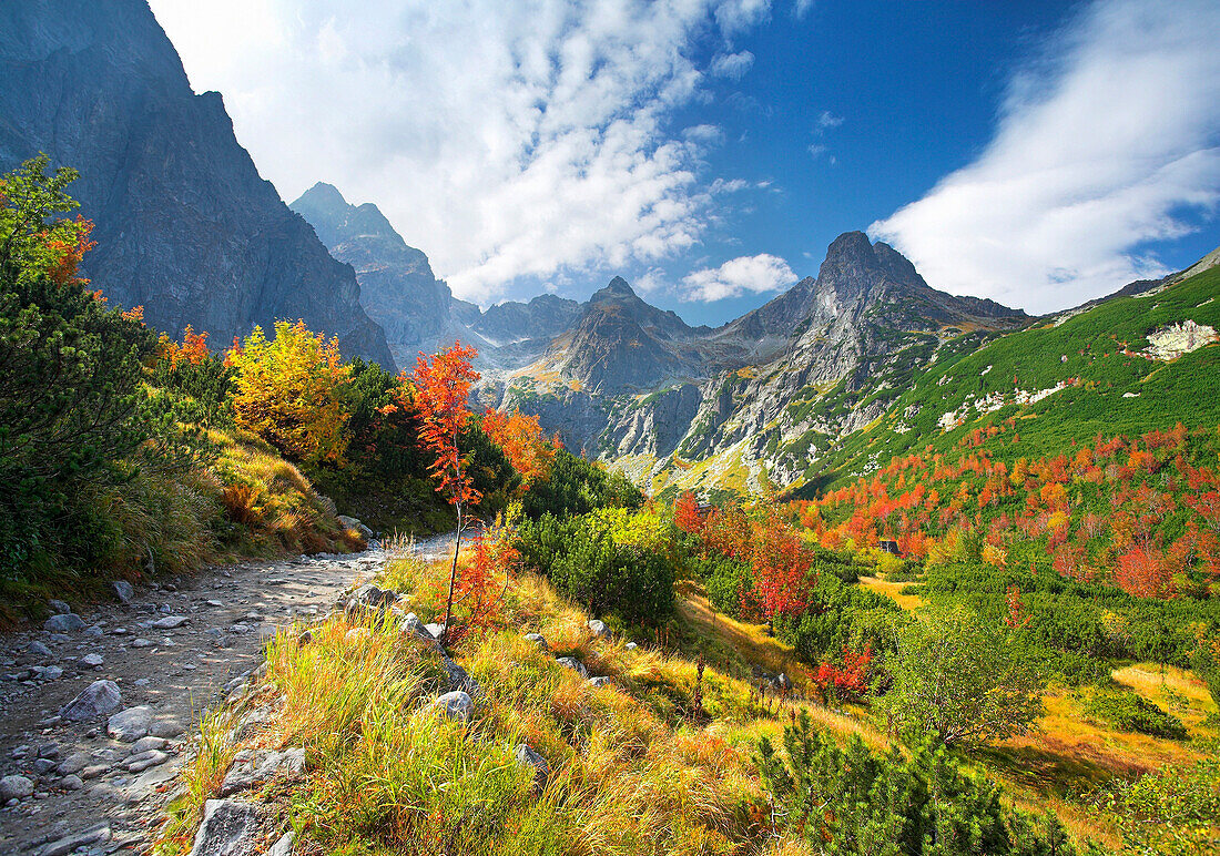 Kiezmarska Valley in autumn, Tatra Mountains, Slovakia