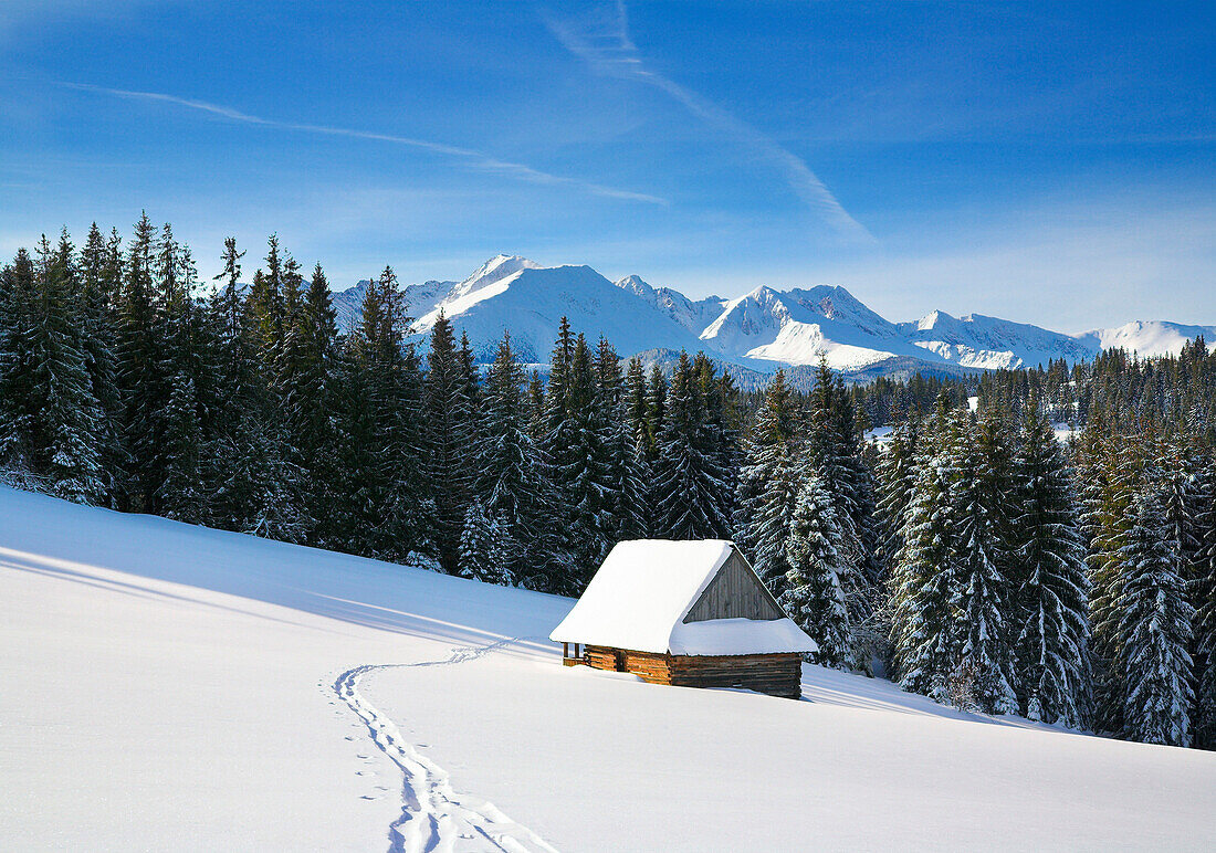 Winter scene, Tatra Mountains, Poland