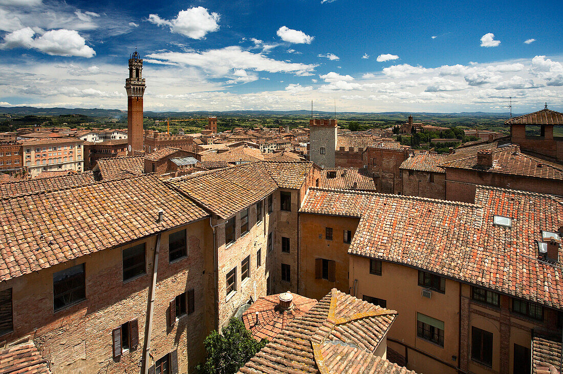 View of the Piazza del Campo with the Torre del Mangia, Siena, Tuscany, Italy