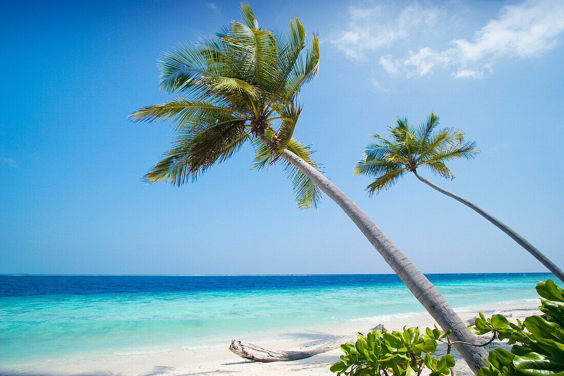 Beach scene, General, The Maldives