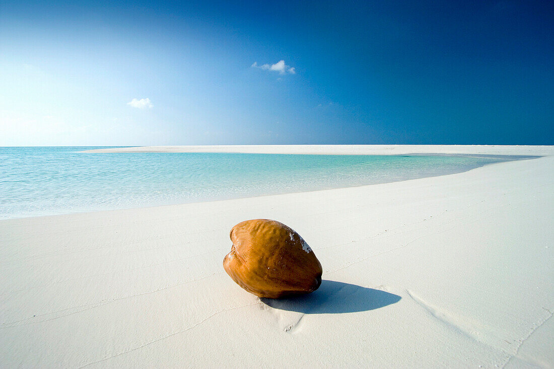 Coconut on beach, General, The Maldives