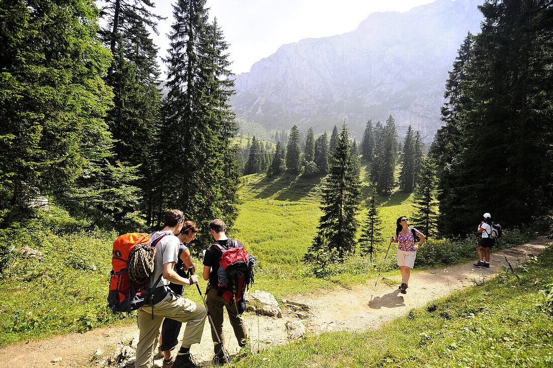 Wanderer auf einem Wanderweg unterhalb der Benediktenwand, Bayern, Deutschland