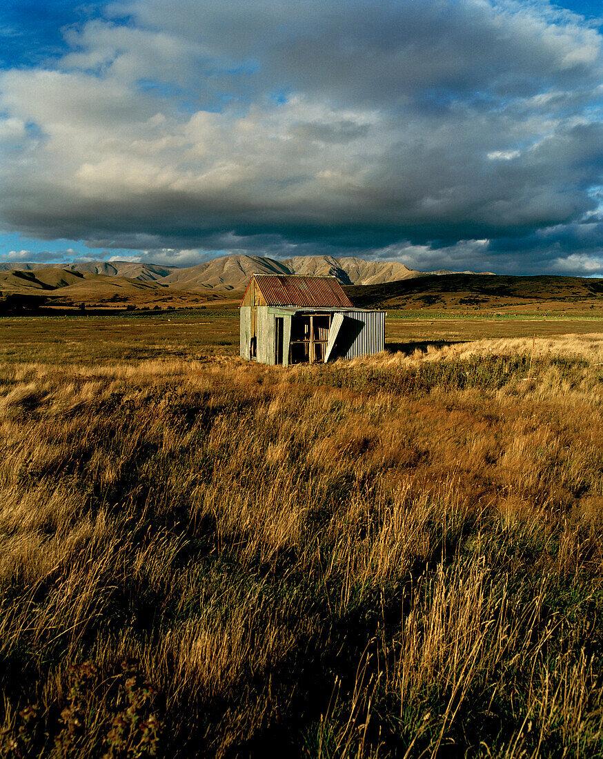 Pasture with little hut under clouded sky, Central Otago, South Island, New Zealand