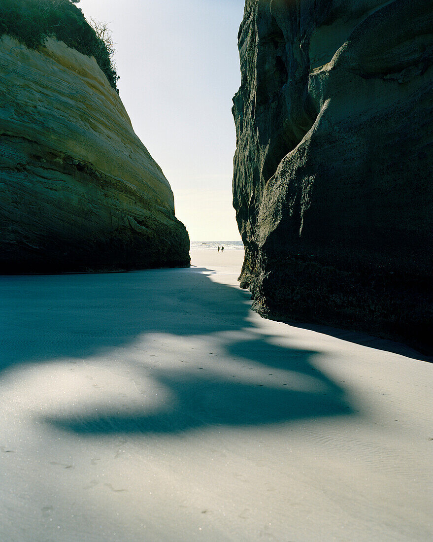 Felsen am Strand bei Ebbe, Wharariki Beach, Nordwestküste, Südinsel, Neuseeland