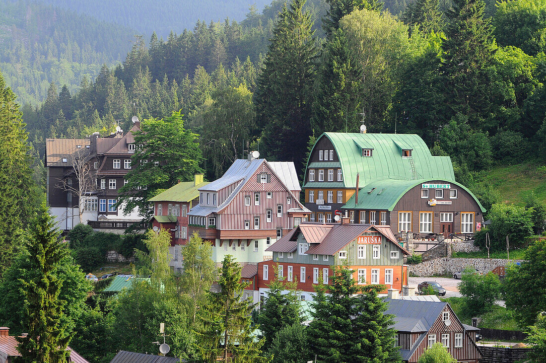 Häuser der Stadt Spindlermühle vor Nadelbäumen, Spindlermühle, Riesengebirge, Ost-Böhmen, Tschechien, Europa