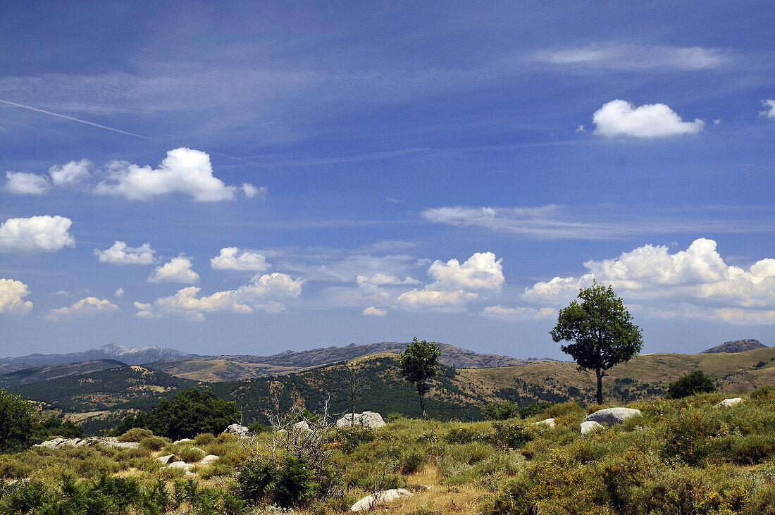 Landscape at Monte Spada under clouded sky, Gennargentu mountains, Sardinia, Italy, Europe