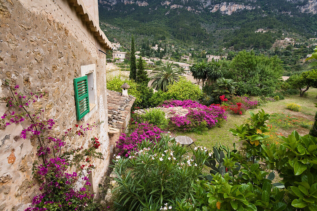 Garten mit Blumen im Künstlerort Deià, Tramuntana Gebirge, Mallorca, Balearen, Spanien, Europa