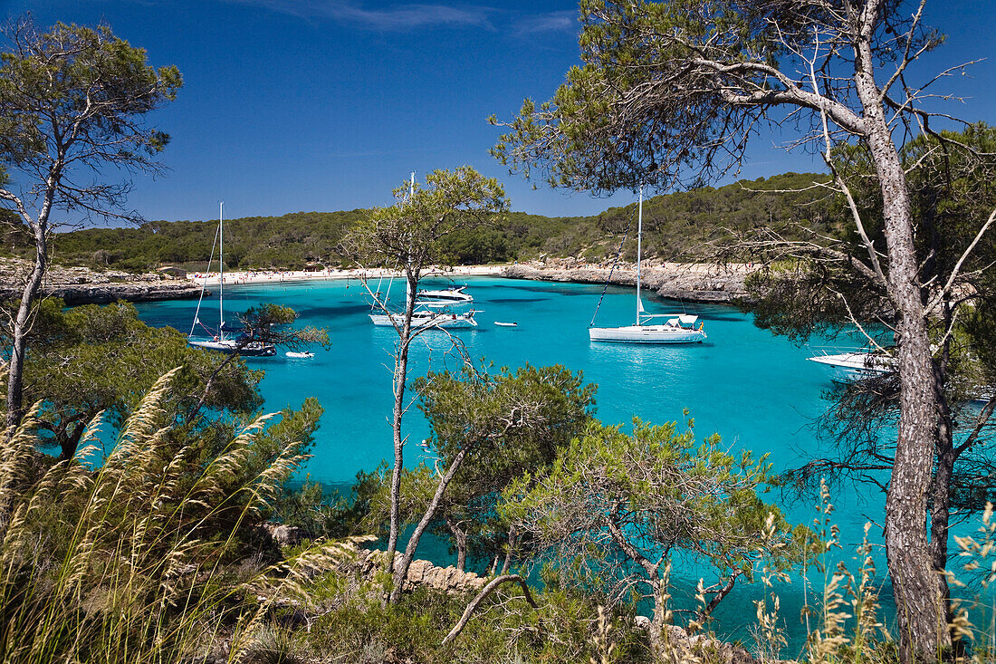 Sailing yachts anchoring in the bay of s'Amarador, Cala Mondragó, Mallorca, Balearic Islands, Mediterranean Sea, Spain, Europe