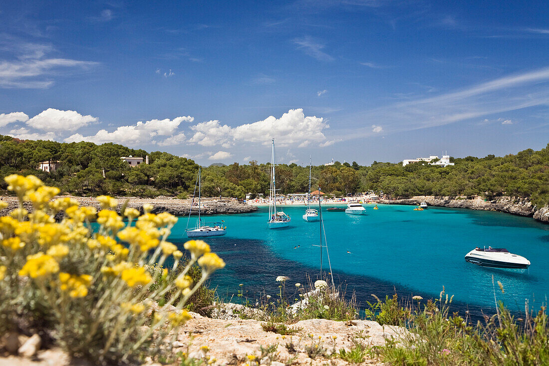 Sailing yachts in the bay Cala Mondragó in the sunlight, beach of Caló d'en Garrot, natural park of Mondragó, Mallorca, Balearic Islands, Mediterranean Sea, Spain, Europe