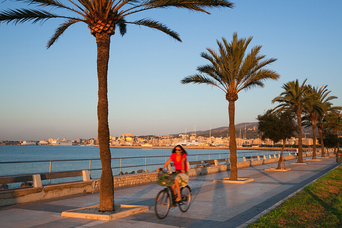 Cyclist at waterfront promenade Avinguda Gabriel Roca at sunrise, Palma, Mallorca, Balearic Islands, Mediterranean Sea, Spain, Europe