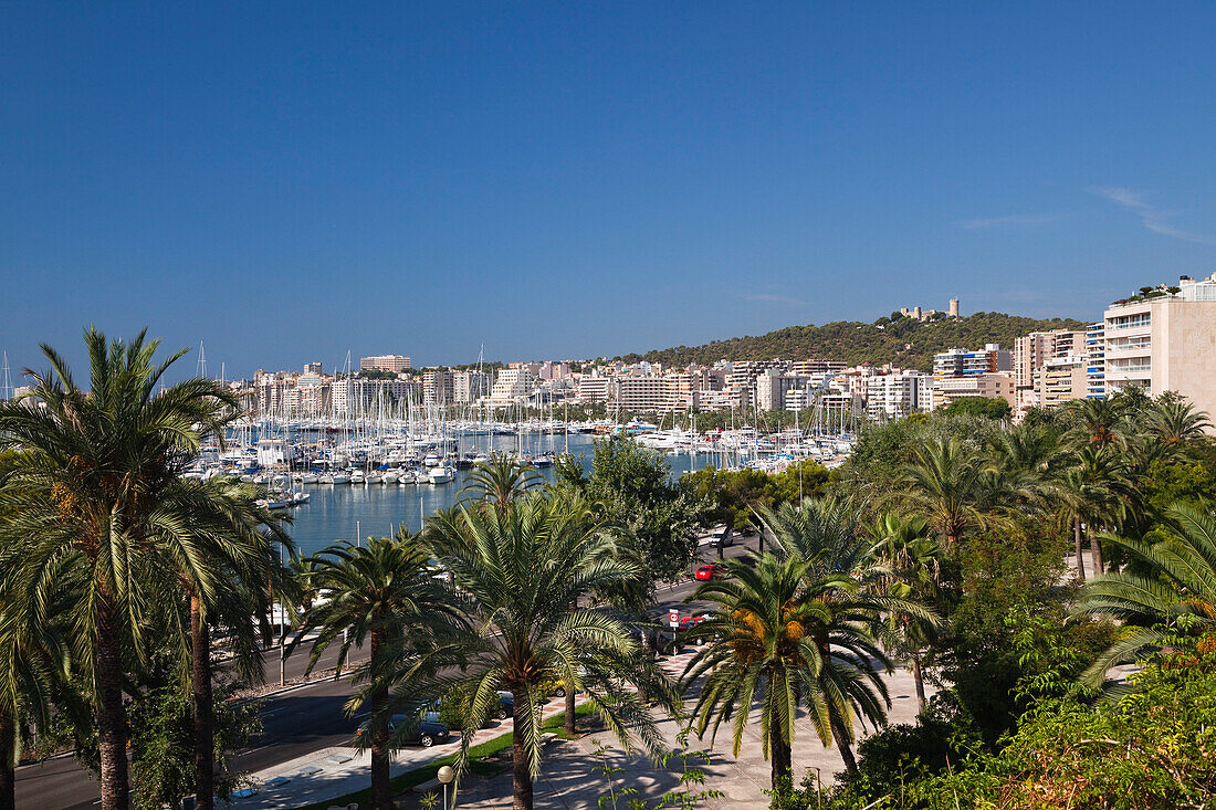 Marina of Palma with Bellver Castle in the sunlight, Avinguda Gabriel Roca, Mallorca, Balearic Islands, Mediterranean Sea, Spain, Europe