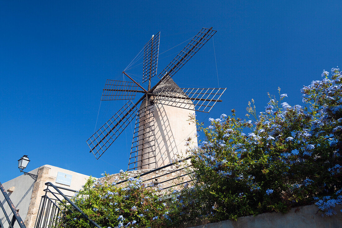 Historic windmill of Es Jonquet at the Old Town of Palma, Mallorca, Balearic Islands, Mediterranean Sea, Spain, Europe