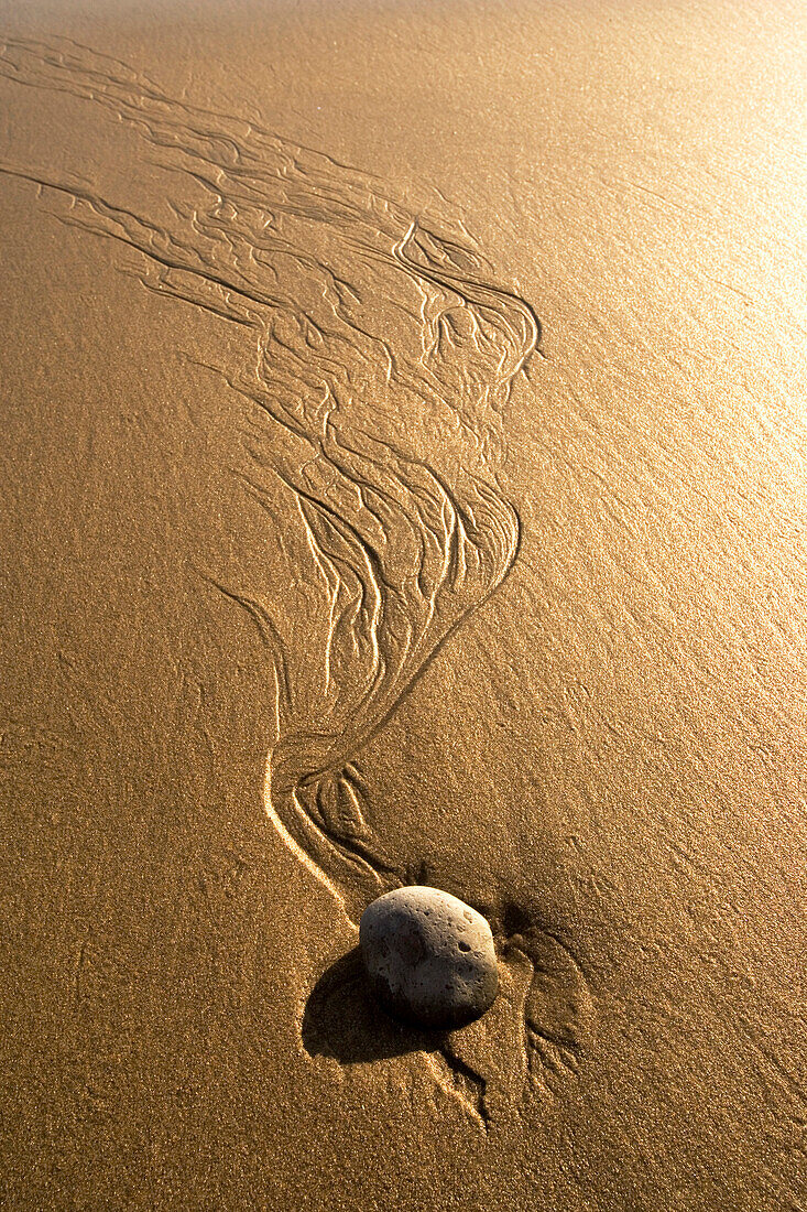 Blick auf einem kleinen Stein und Spuren vom Wasser im nassen Sand, Punta Conejo, Baja California Sur, Mexiko, Amerika