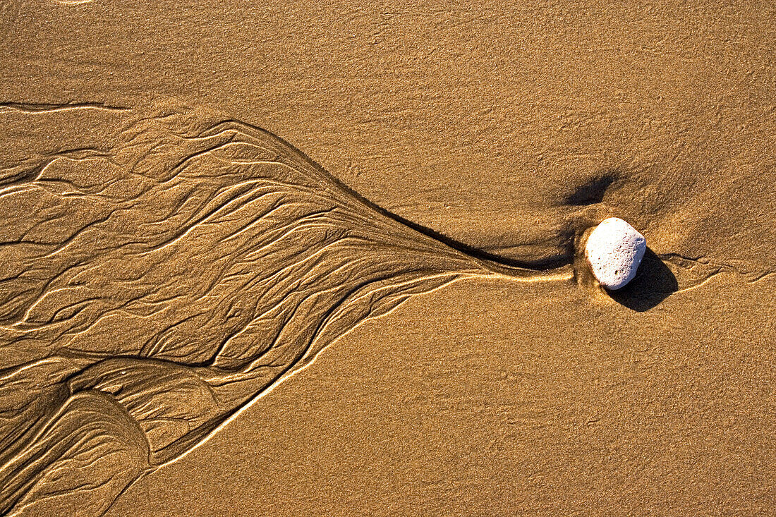 View at a little stone and traces of the water in the wet sand, Punta Conejo, Baja California Sur, Mexico, America