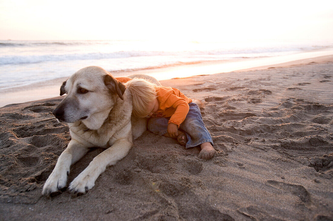 Kleines Mädchen umarmt ihren Hund am Strand bei Sonnenuntergang, Punta Conejo, Baja California Sur, Mexiko, Amerika
