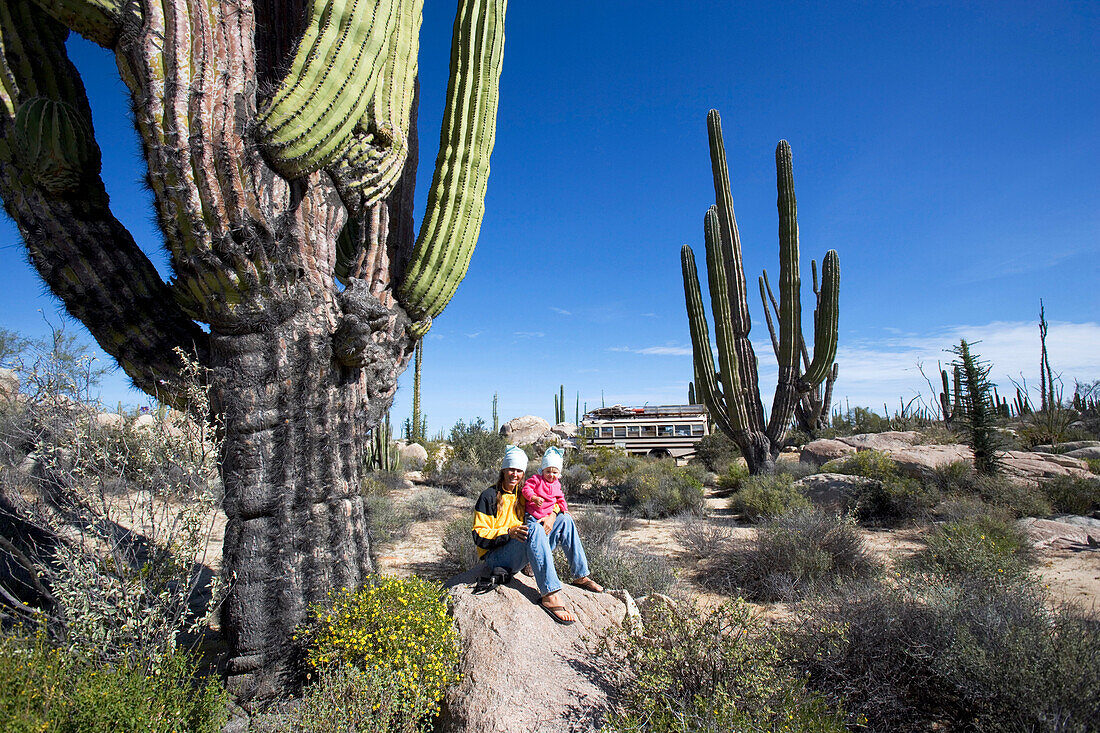 A woman with child sitting amidst cactuses in the desert on a rock, Catavina, Baja California Sur, Mexico, America