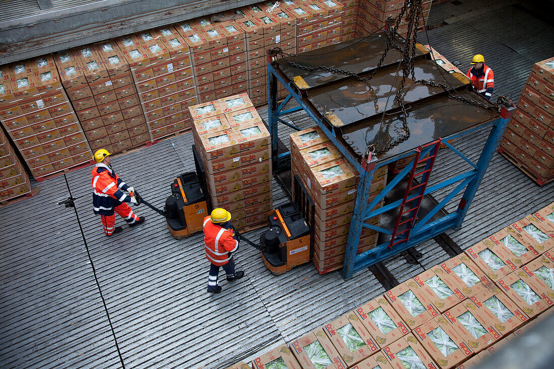 Arbeiter verladen Bananenkisten, Hamburger Hafen, Deutschland