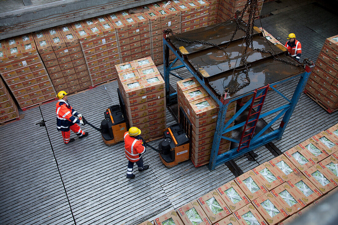 Dock workers loading banana boxes, Port of Hamburg, Germany