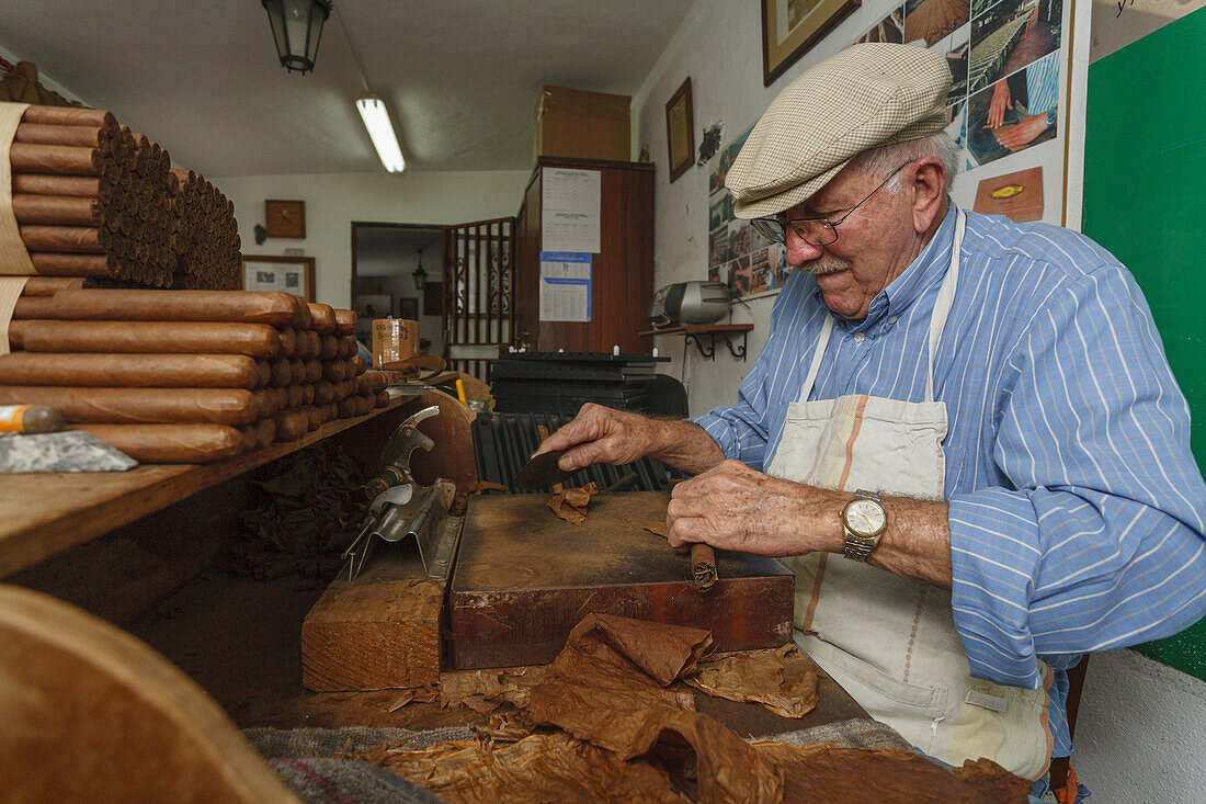 Man, Eusebio Martin, producing cigars in his workshop, Cigarros Artesanos, Finca Tabaquera El Sitio S.L., Brena Alta, La Palma, Canary Islands, Spain, Europe