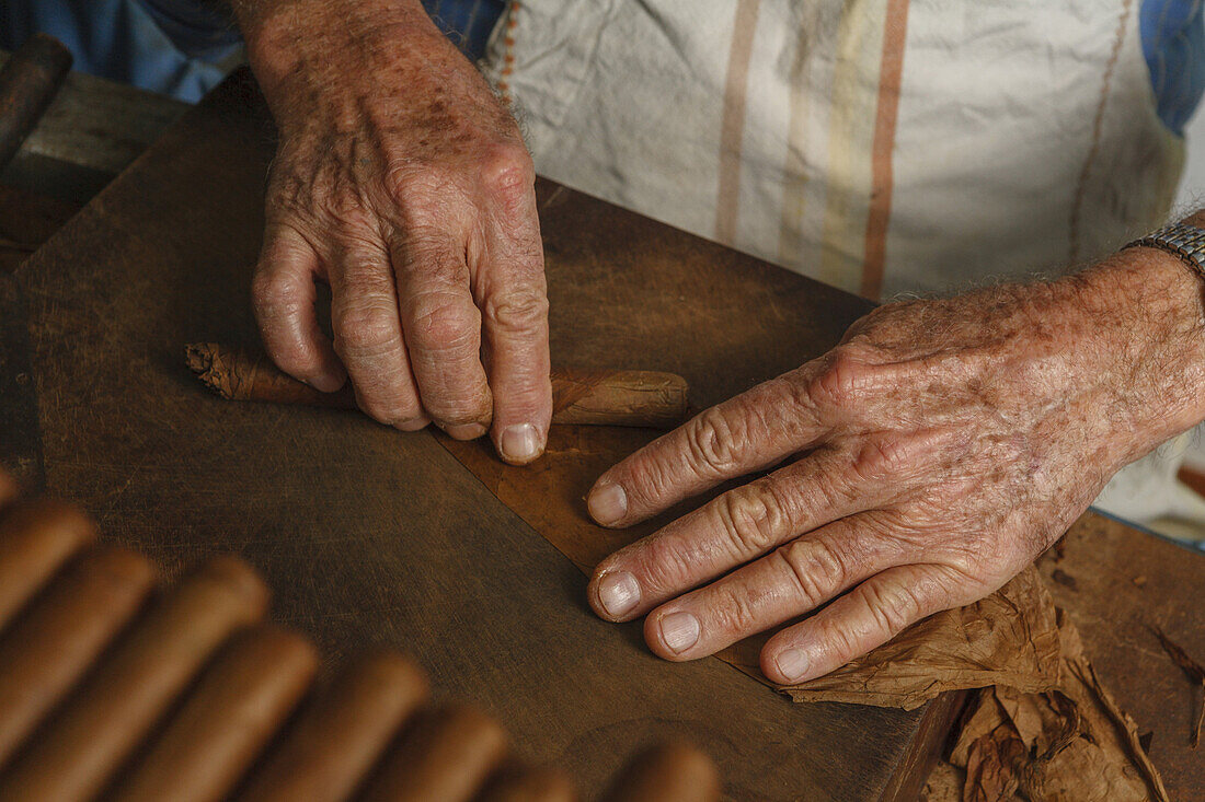 Man, Eusebio Martin producing cigars, tobacco, in a workshop, Cigarros Artesanos, Finca Tabaquera El Sitio S.L., Brena Alta, La Palma, Canary Islands, Spain, Europe
