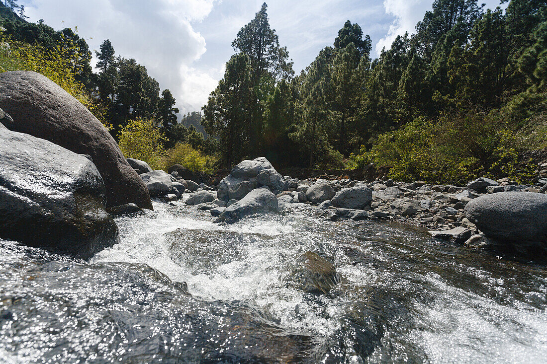 Fluß und Berglandschaft, Rio de Taburiente, Playa de Taburiente, Nationalpark, Parque Nacional Caldera de Taburiente, Riesenkrater eines erloschenen Vulkans, Caldera de Taburiente, Naturschutzgebiet, UNESCO Biosphärenreservat, La Palma, kanarische Inseln,