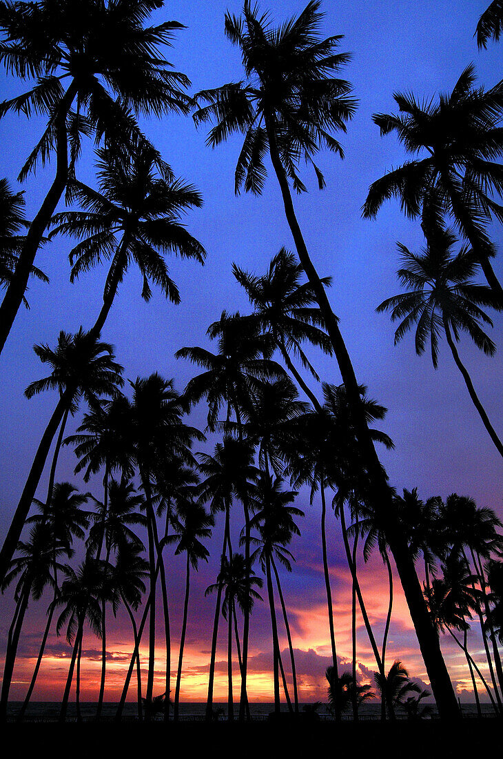 Beach,  Wadduwa,  Sri Lanka