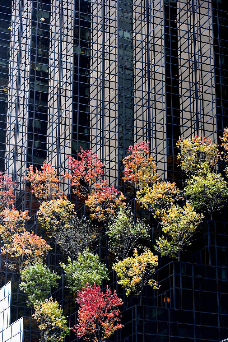 TRUMP TOWER FIFTH AVENUE MIDTOWN MANHATTAN NEW YORK USA