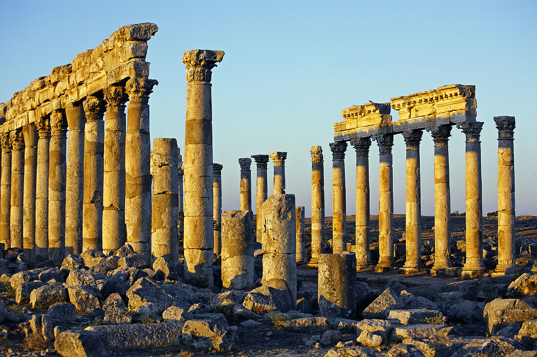 Ruins of the ancient Roman city of Apame,  Syria