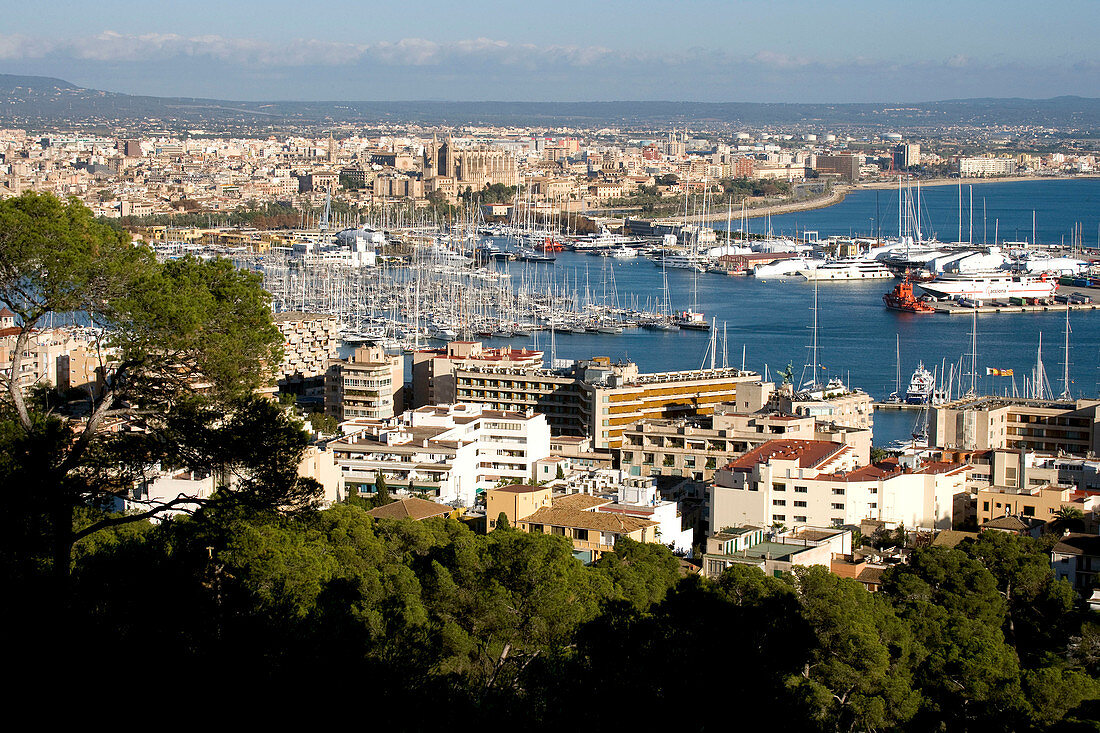 Spain,  Balearic Islands,  Mallorca,  Palma de Majorca harbor bay from Bellver castle