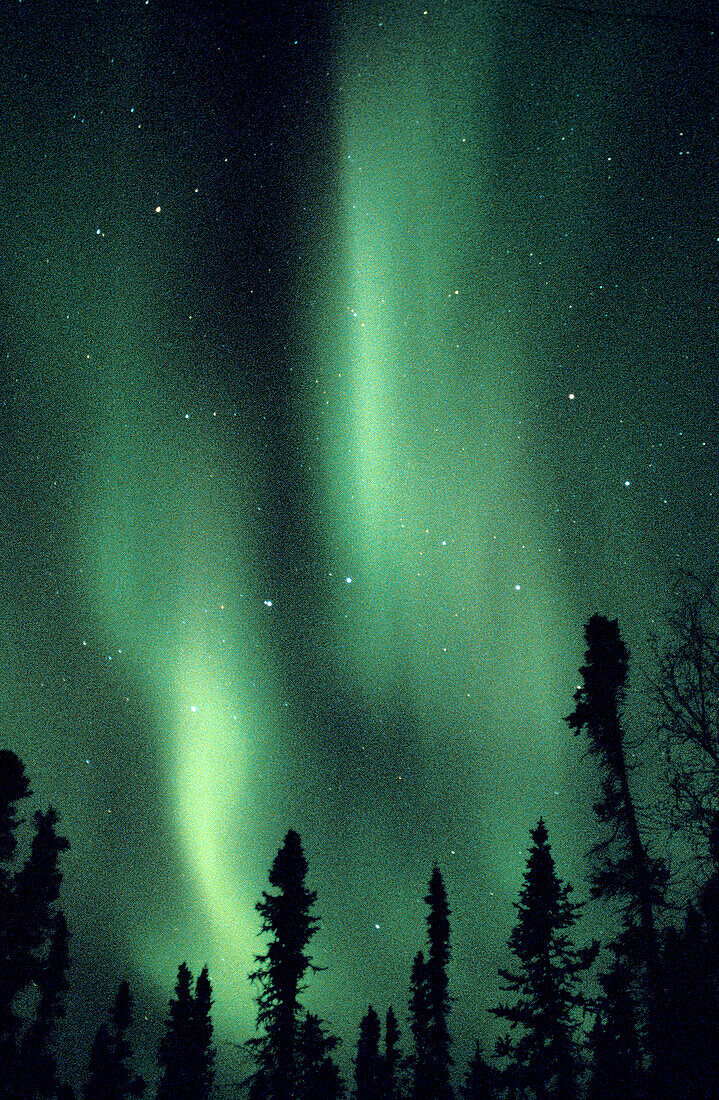 Aurora Borealis or Nothern Lights,  Denali,  Alaska,  USA