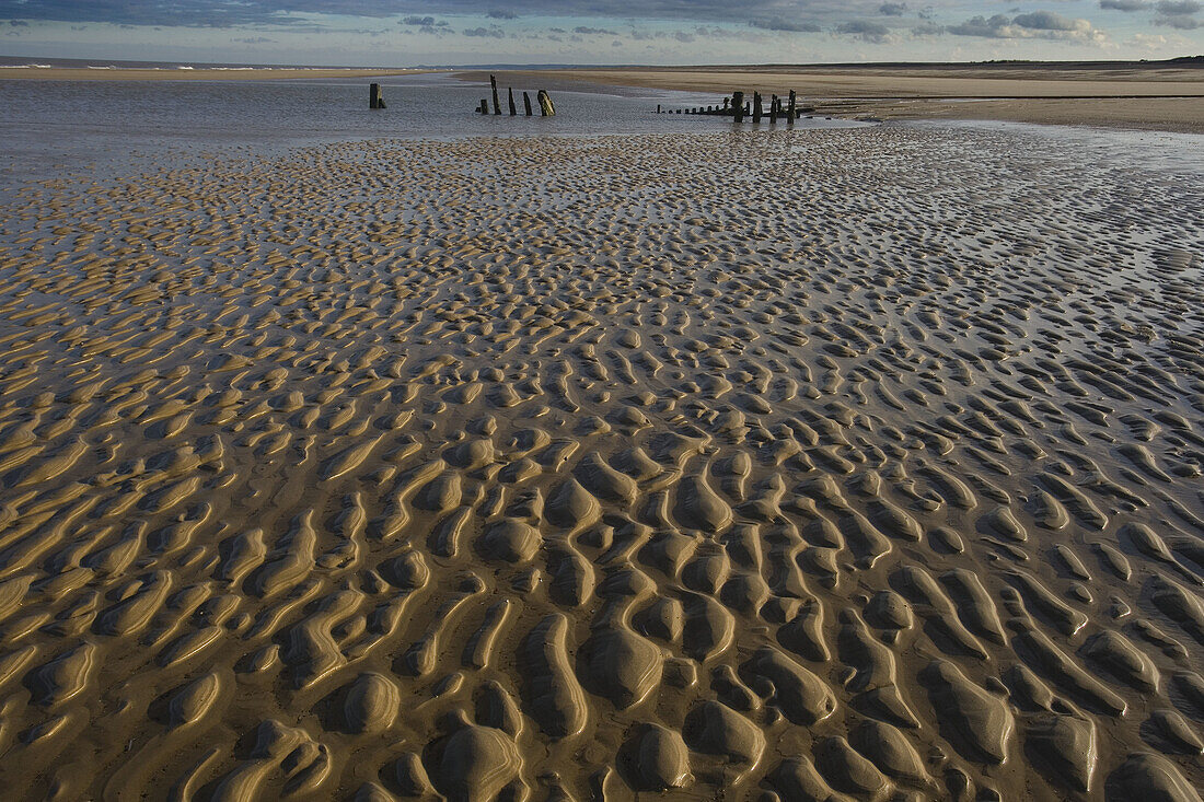 Ancient Wreck Low Tide Blakeney Point Norfolk UK Winter