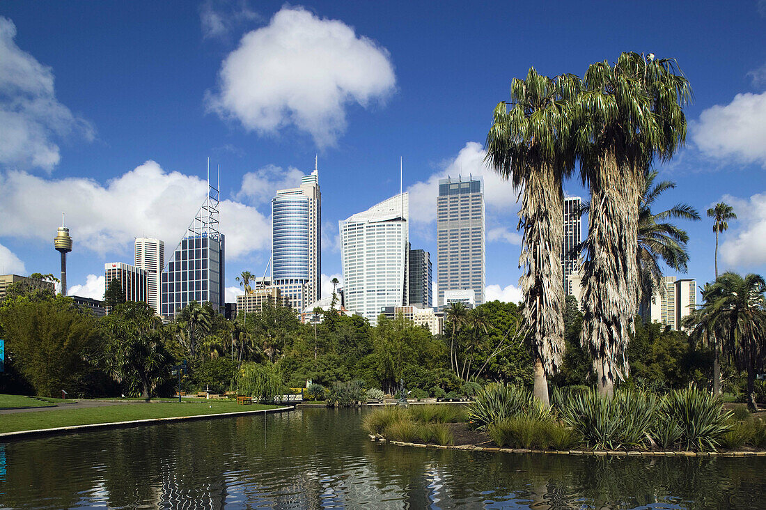 Australia - New South Wales (NSW) - Sydney: Sydney Central Business District from Royal Botanic Gardens in the morning