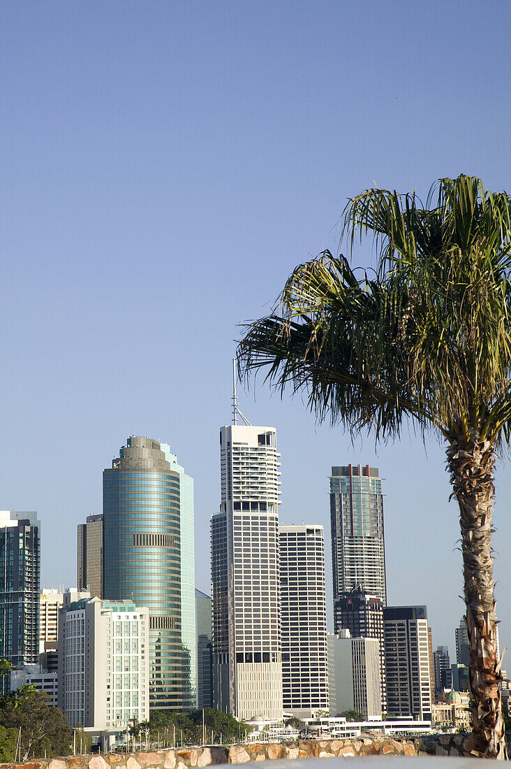 Australia - Queensland - Brisbane: Highrise buildings by Riverside Centre along the Brisbane River in the morning