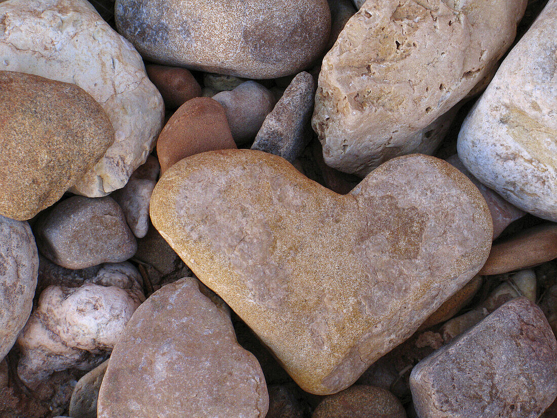 Heart-shaped rock,  Grand Wash Trail,  Capitol Reef National Park,  Utah,  United States © Paula Borchardt - All rights reserved