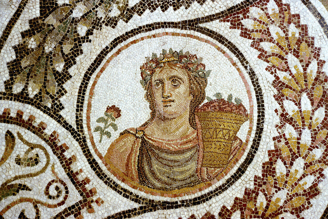 Roman mosaic at Bardo National Museum,  Tunis,  Tunisia