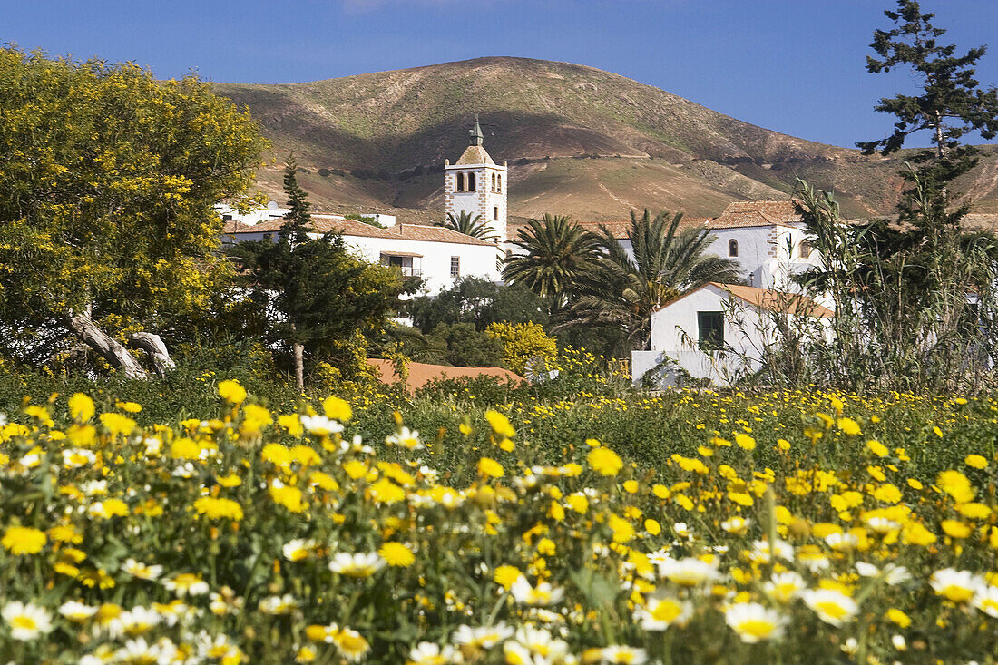 Fuerteventura, Kanarische Inseln, Spanien