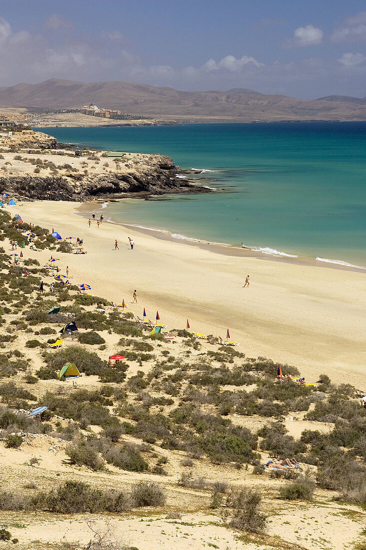 Costa Calma,  Fuerteventura,  Canary Islands,  Spain