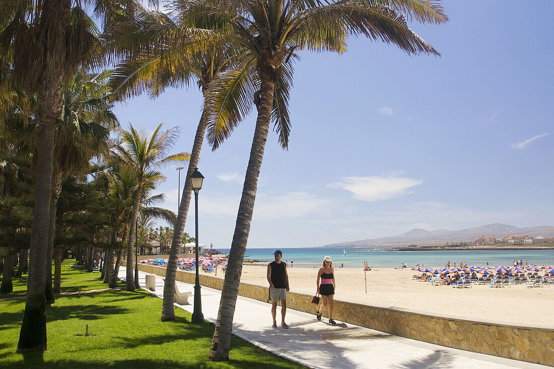 Caleta de Fuste,  Fuerteventura,  Canary Islands,  Spain