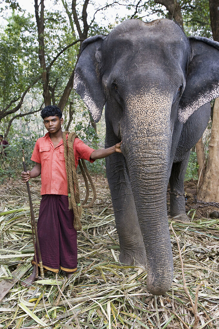 Kerala,  India