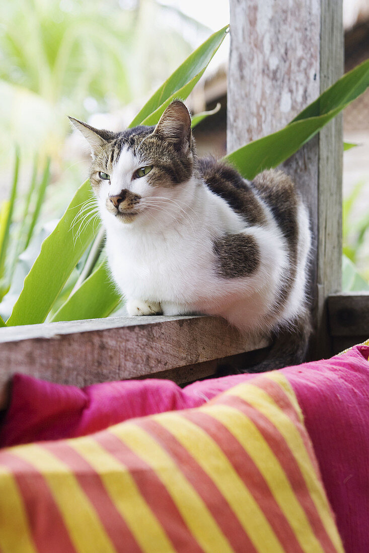 Langkawi,  Malaysia