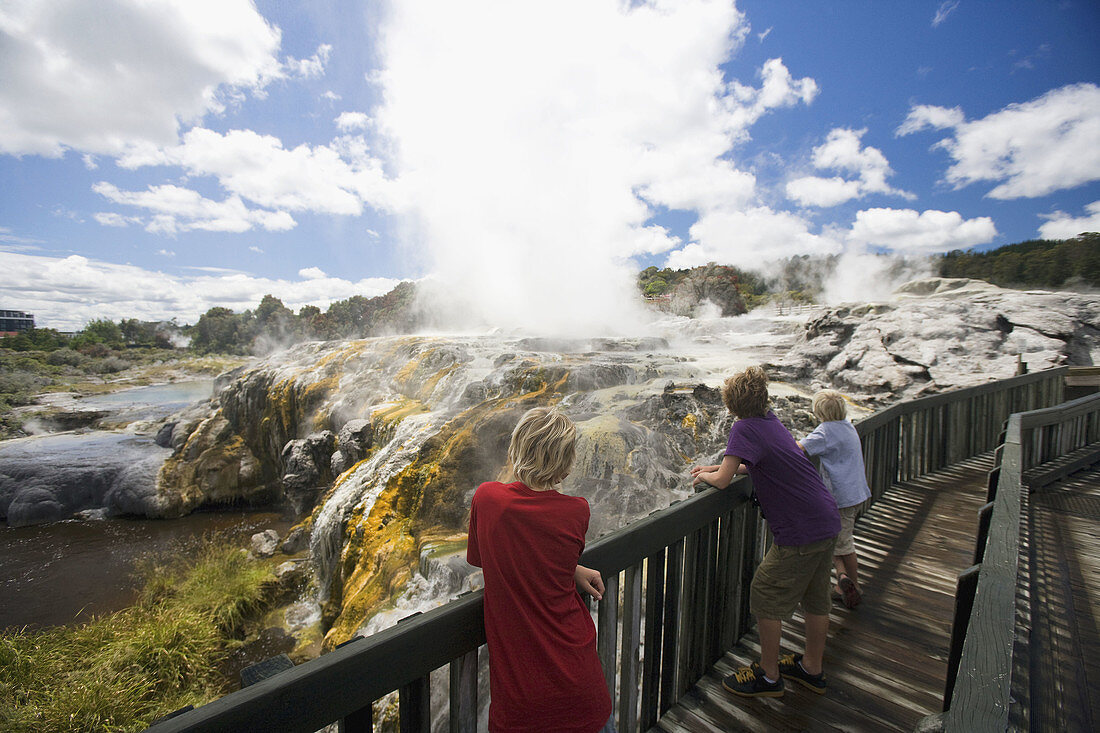 Rotarua, Te Puia, Neuseeland