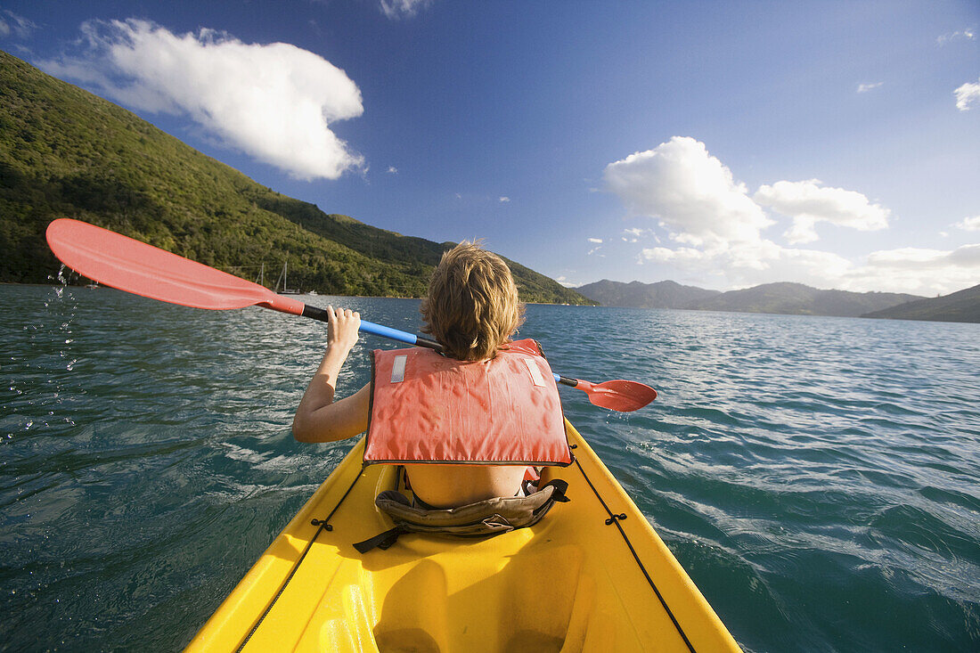 Endeavour Inlet,  Marlborough Sound,  South Island,  New Zealand