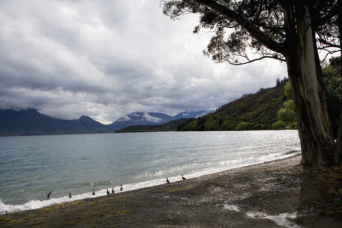 Lake Wakatipu, Südinsel, Neuseeland